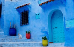 Chefchaouen Blue City Cats