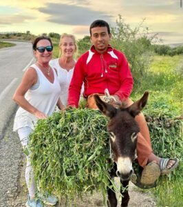 On the road to Tangier rider on donkey