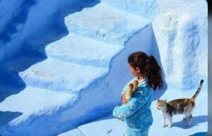 Child and cats in Chefchaouen The Blue City Morocco