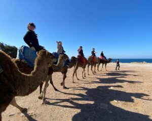 Camel ride on beach with Tour of Tangier