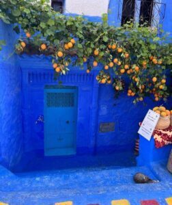 Oranges in Chefchaouen The Blue City Morocco