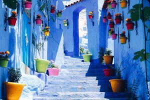 Chefchaouen The Blue City Morocco potted plants on wall